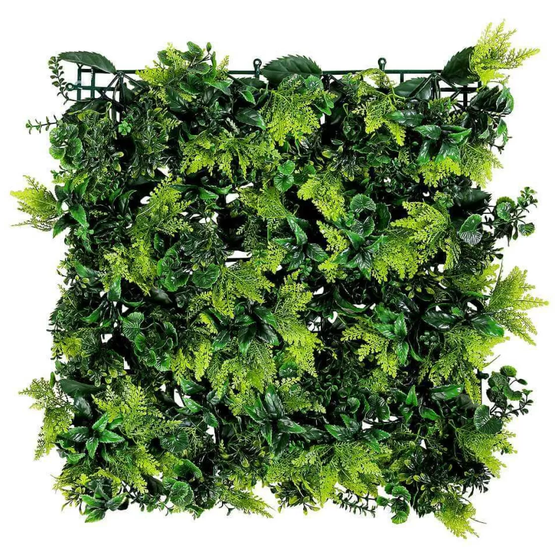 Paredes De Plantas>DecoWoerner Panel De Plantas s Artificiales, 50 X 50 Cm verde