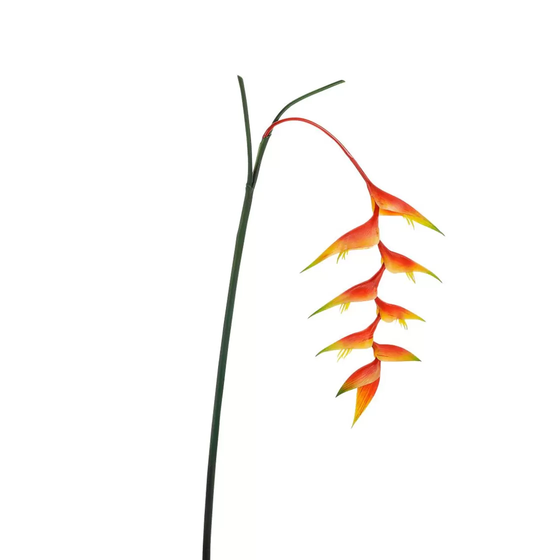 Decoración De Verano | Flores Artificiales>DecoWoerner Pinzas De Langosta De Heliconia Artificial 30 X 96 Cm naranja