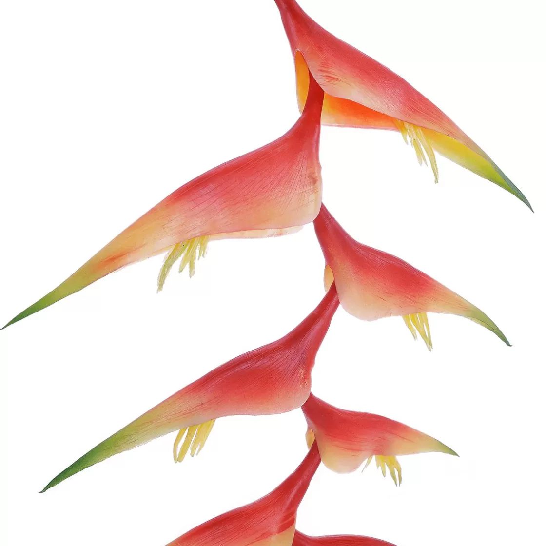 Decoración De Verano | Flores Artificiales>DecoWoerner Pinzas De Langosta De Heliconia Artificial 30 X 96 Cm naranja
