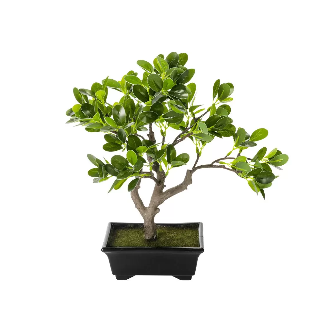Plantas De Interior>DecoWoerner Planta Artificial Bonsái Hoja De Centavo En Maceta 28 X 11 X 34 Cm (ancho X Largo X Alto) verde