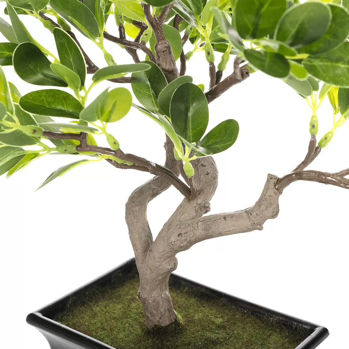 Plantas De Interior>DecoWoerner Planta Artificial Bonsái Hoja De Centavo En Maceta 28 X 11 X 34 Cm (ancho X Largo X Alto) verde