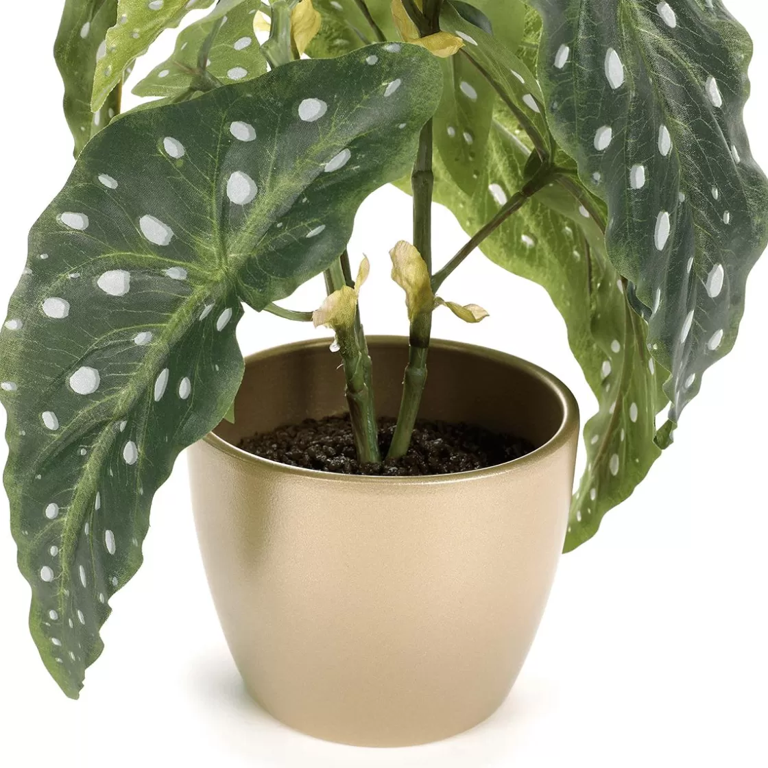 Plantas De Interior>DecoWoerner Planta Artificial Deco Begonia Trucha 30 Cm verde