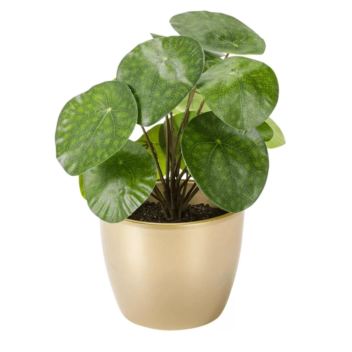 Plantas De Interior>DecoWoerner Planta Artificial Deco Pilea En Maceta, Pancake 25 Cm verde