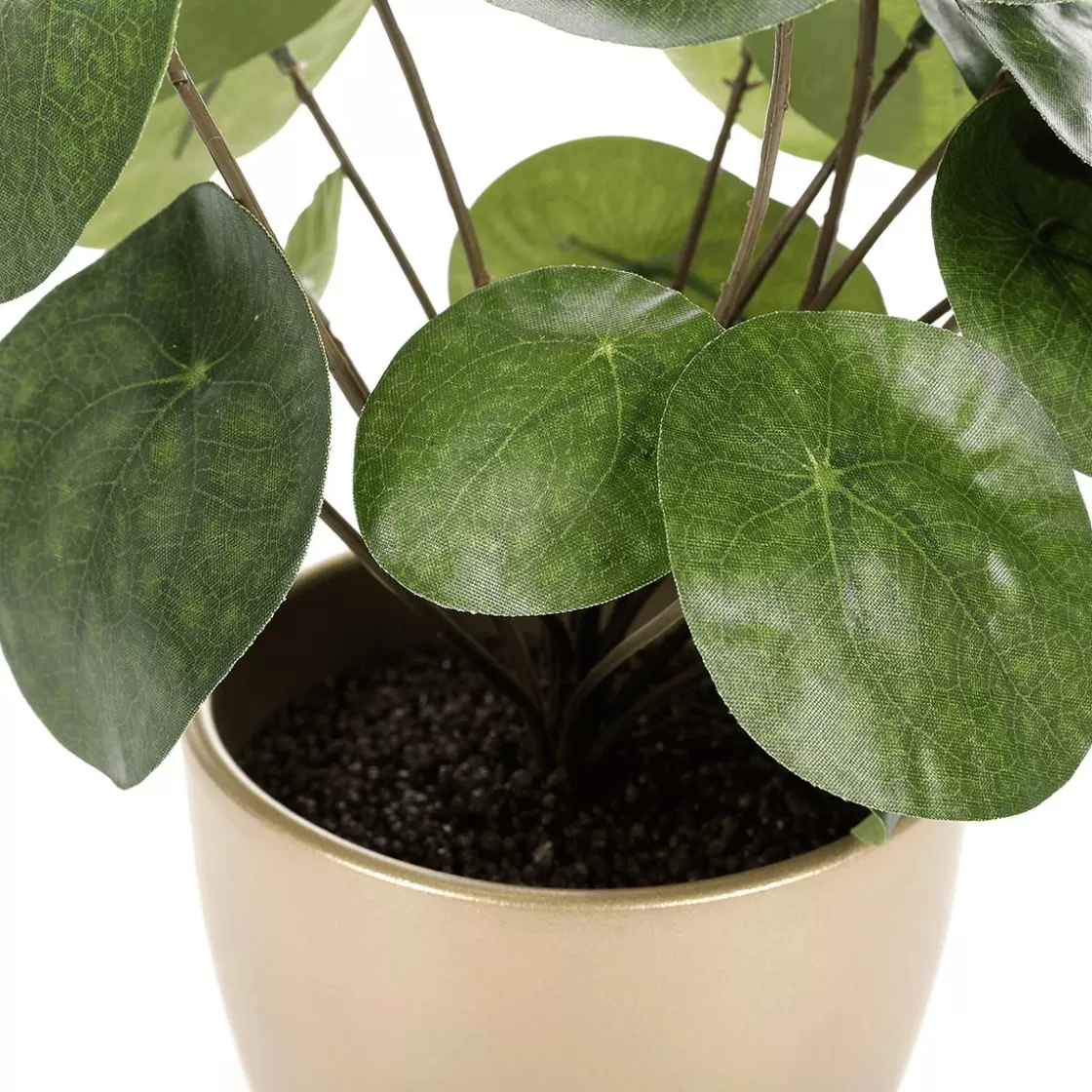 Plantas De Interior>DecoWoerner Planta Artificial Deco Pilea En Maceta, Pancake 25 Cm verde