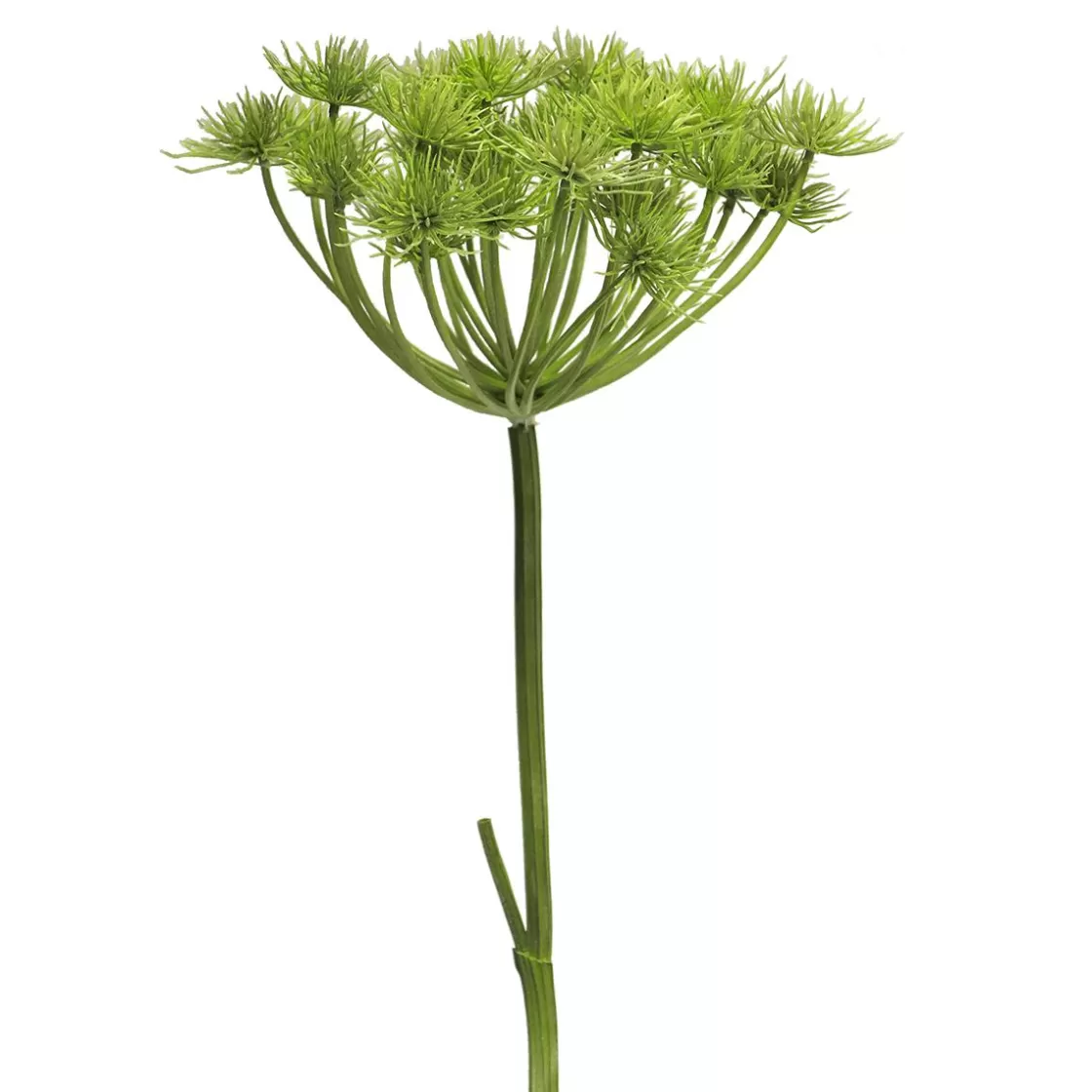 Flores Artificiales>DecoWoerner Planta Artificial Heracleum Giant Hogweed 98 Cm verde