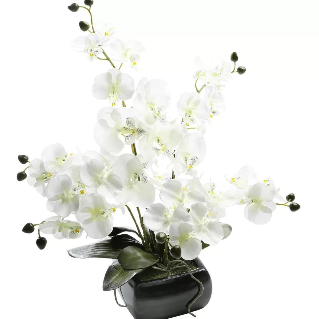 Plantas De Interior | Flores Artificiales>DecoWoerner Planta Artificial Orquídea , 40 Cm blanco