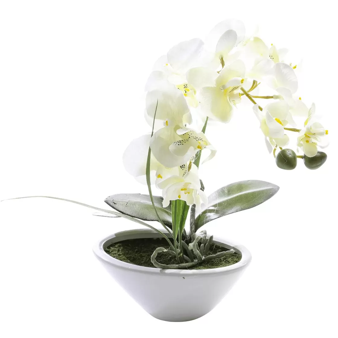 Plantas De Interior | Flores Artificiales>DecoWoerner Planta Artificial Orquídea En Maceta, Blanca 28 Cm blanco