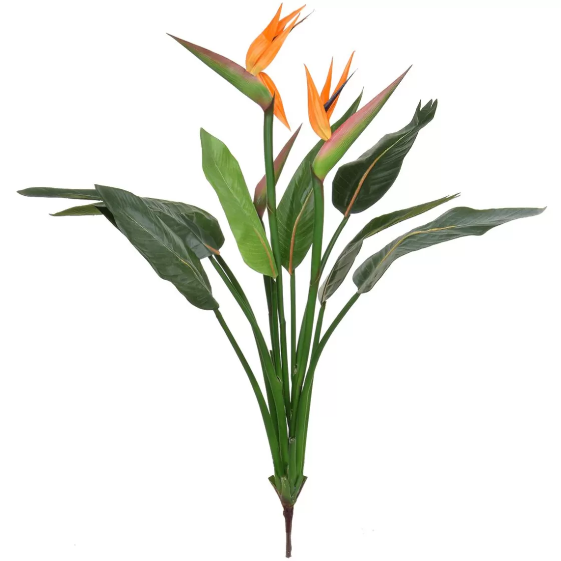 Plantas De Interior | Plantas Artificiales Ignífugas>DecoWoerner Planta Artificial Sterlizia Pick Con Flores 103 Cm naranja