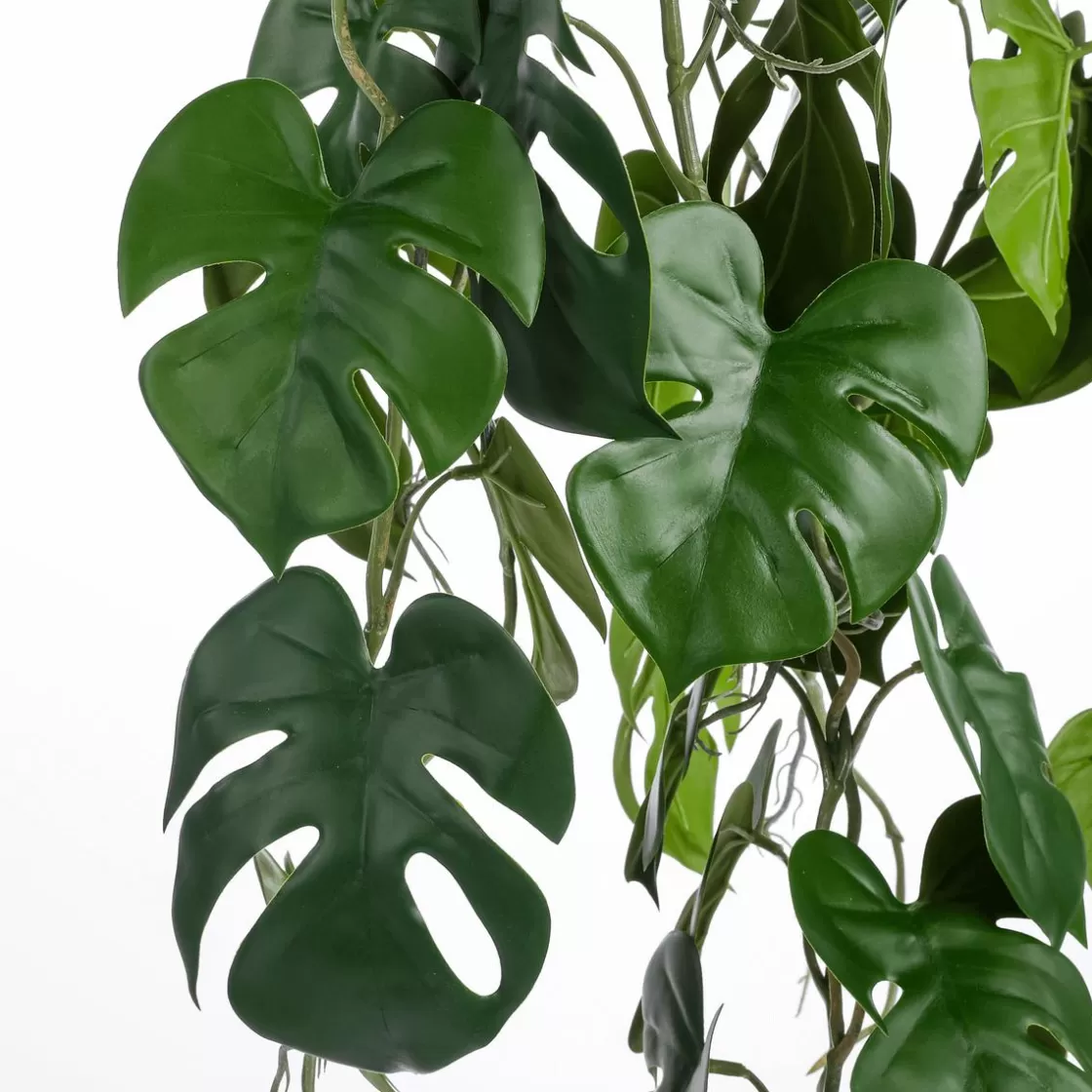 Plantas Colgantes>DecoWoerner Planta Colgante Artificial Monstera En Maceta 106 Cm verde