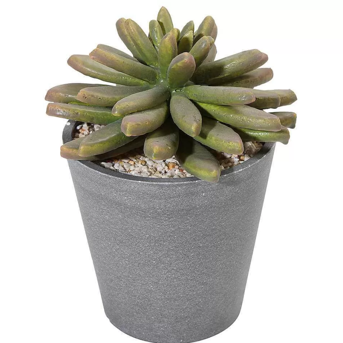 Plantas De Interior>DecoWoerner Plantas Suculentas Artificiales 20 Cm verde