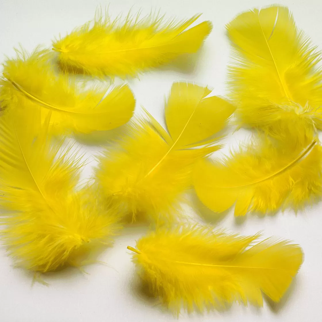 Decoración Dispersa | Decoración De Pascua>DecoWoerner Plumas Decorativas Amarillas, 20 G amarillo