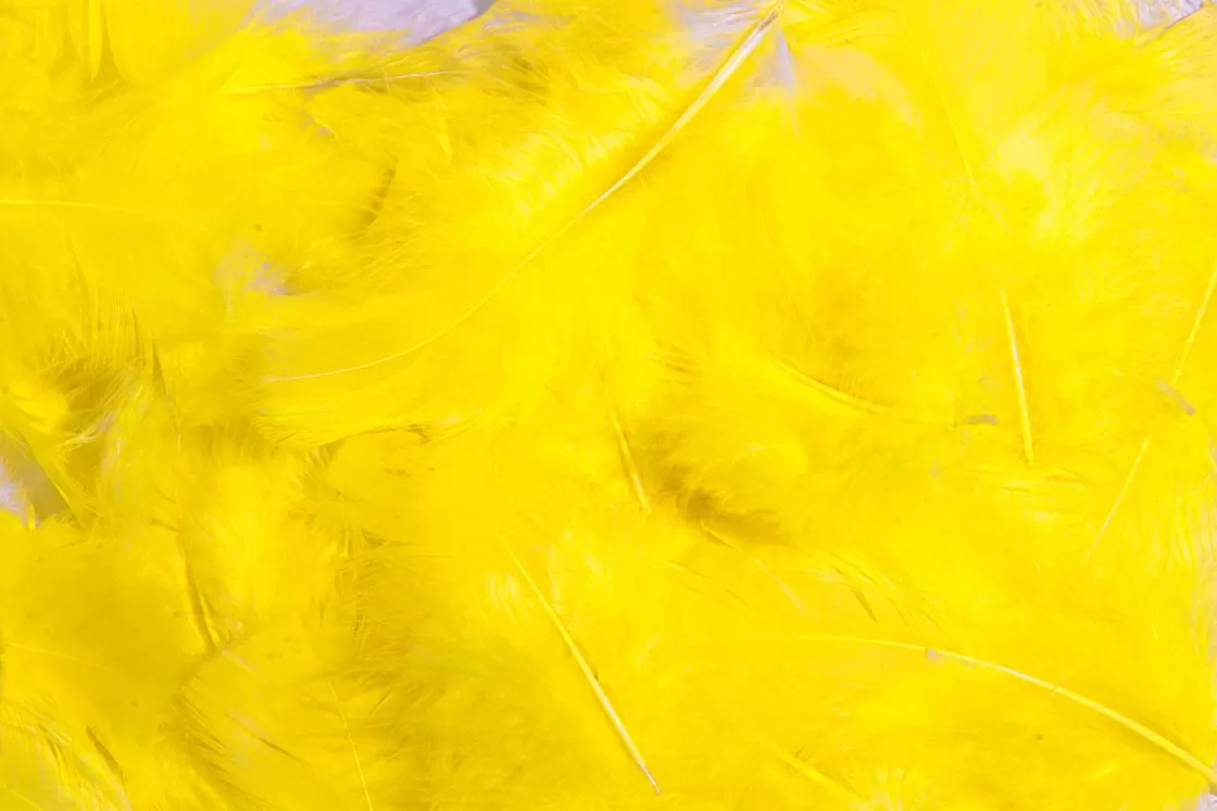 Decoración Dispersa | Decoración De Pascua>DecoWoerner Plumas Decorativas Amarillas, 20 G amarillo