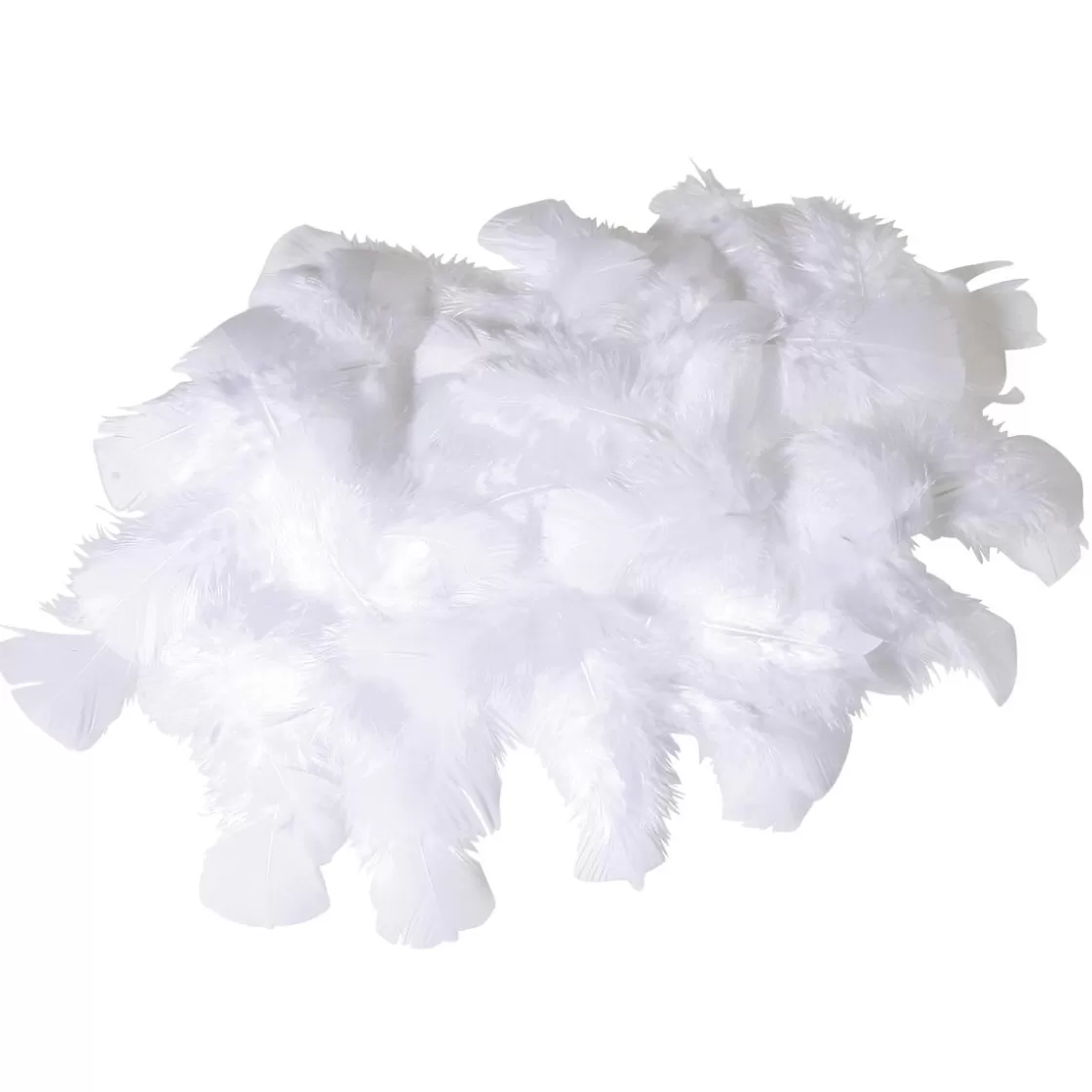 Decoración Dispersa | Decoración De Pascua>DecoWoerner Plumas Decorativas Blancas, 20 G blanco