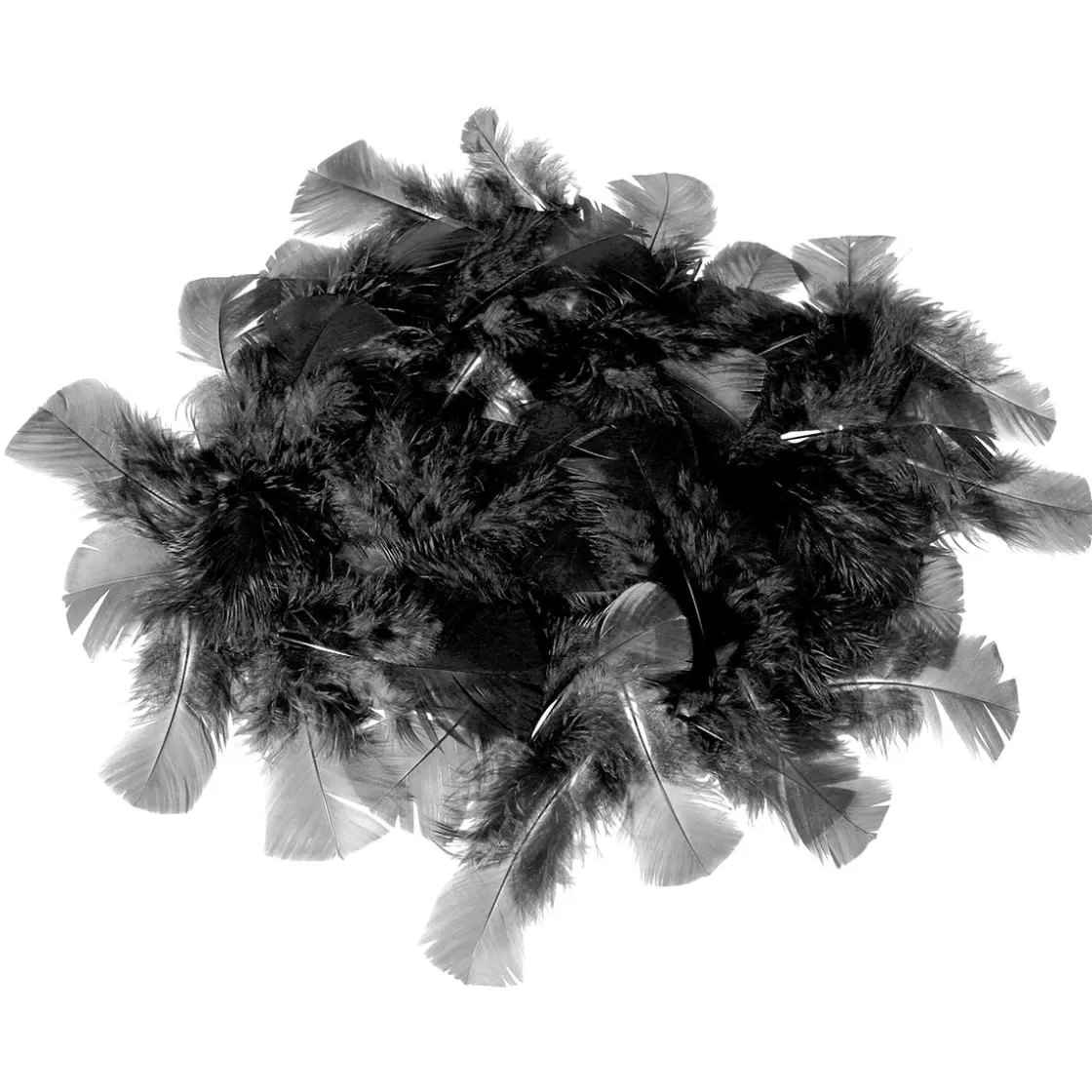 Decoración Dispersa>DecoWoerner Plumas Decorativas Negras, 20 G negro