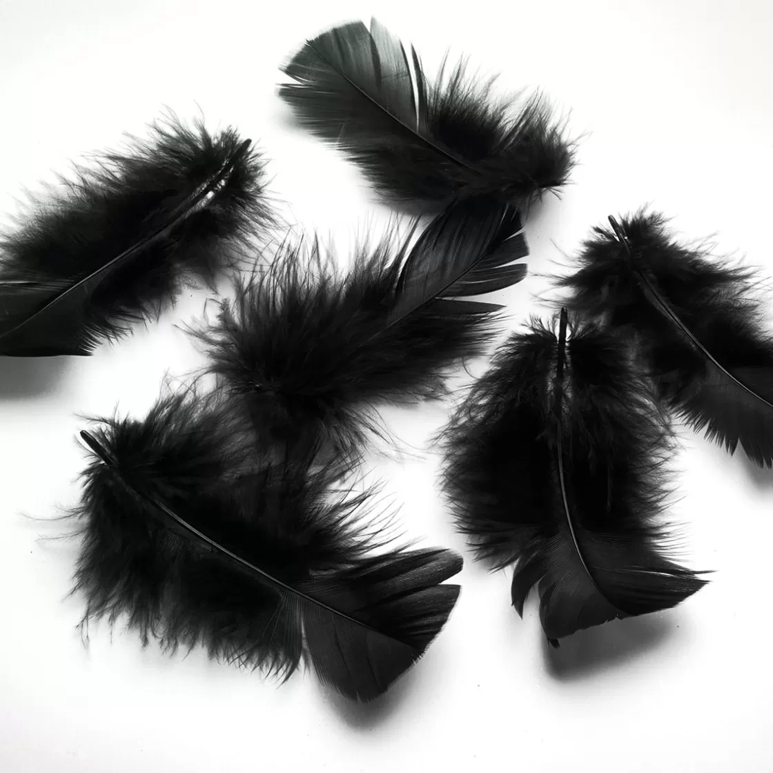 Decoración Dispersa>DecoWoerner Plumas Decorativas Negras, 20 G negro