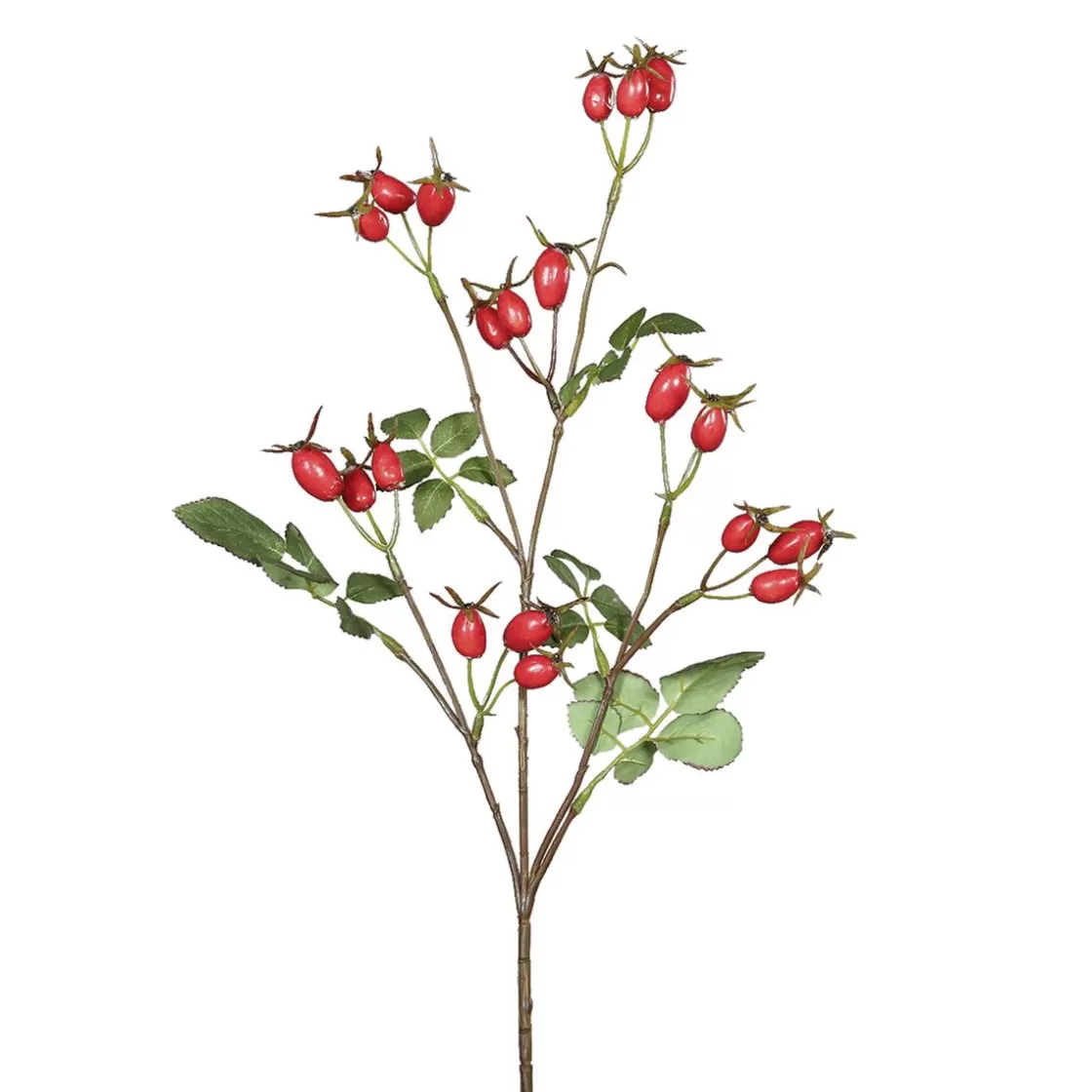 Decoración De Otoño | Ramas Y Ramitas>DecoWoerner Rama Artificial De Rosa Mosqueta Roja 66 Cm rojo