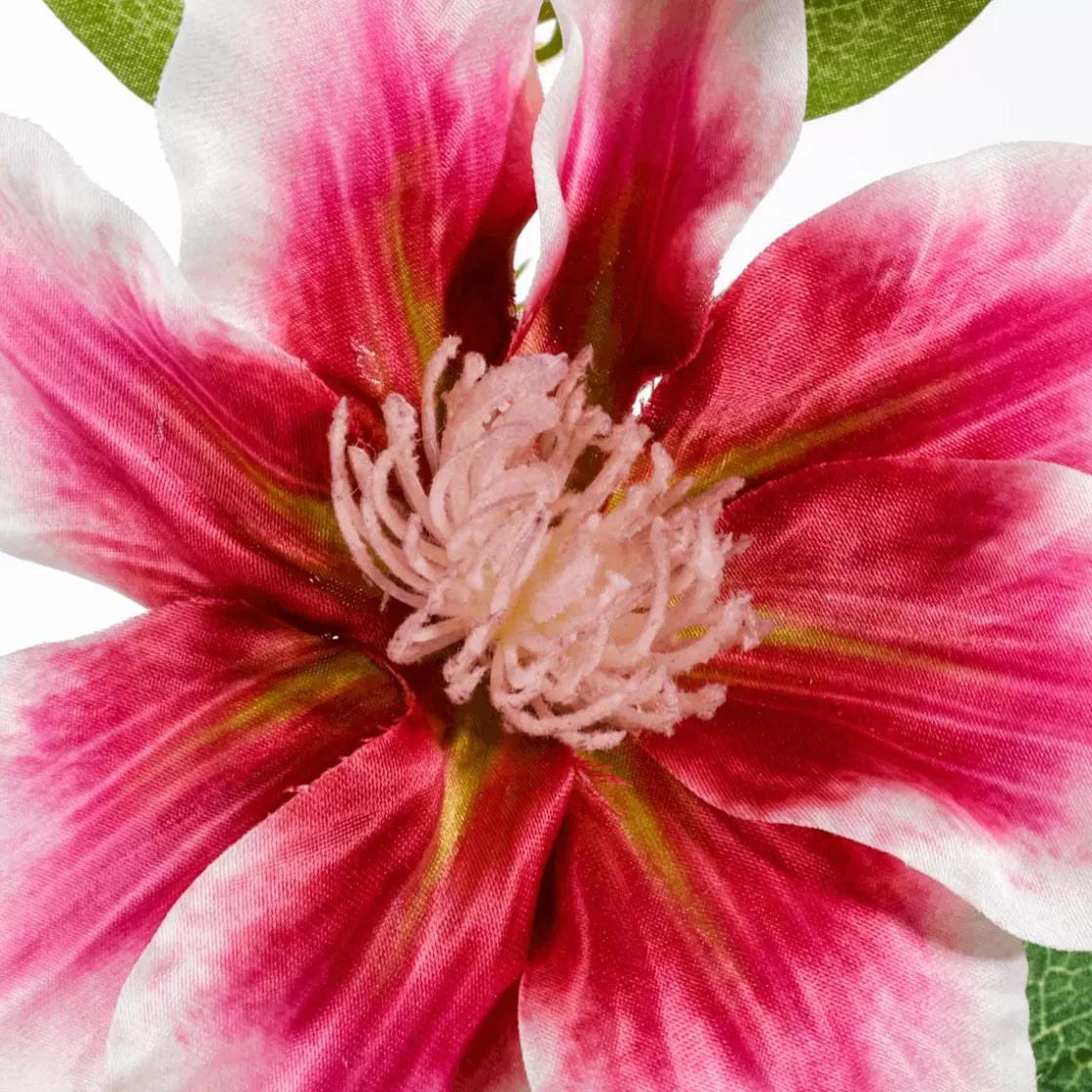 Ramas Y Ramitas>DecoWoerner Rama De Clemátide Artificial 15 X 7 X 80 Cm rosa