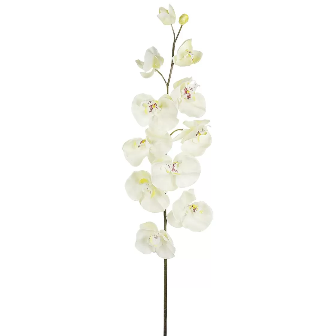 Ramas Y Ramitas | Flores Artificiales>DecoWoerner Rama De Orquídea Deco Blanca 110 Cm blanco