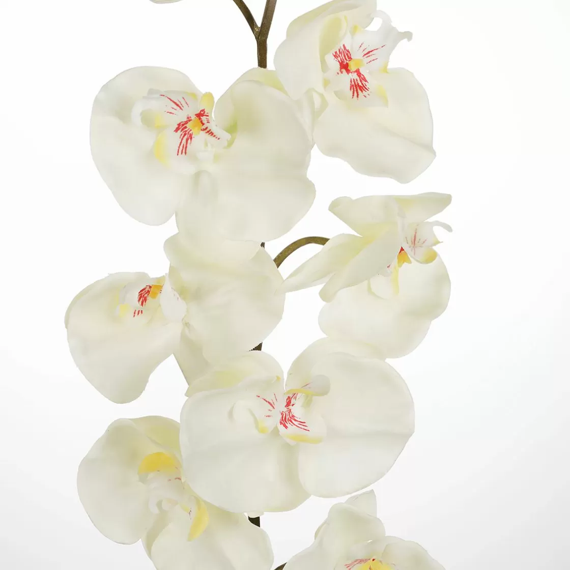 Ramas Y Ramitas | Flores Artificiales>DecoWoerner Rama De Orquídea Deco Blanca 110 Cm blanco