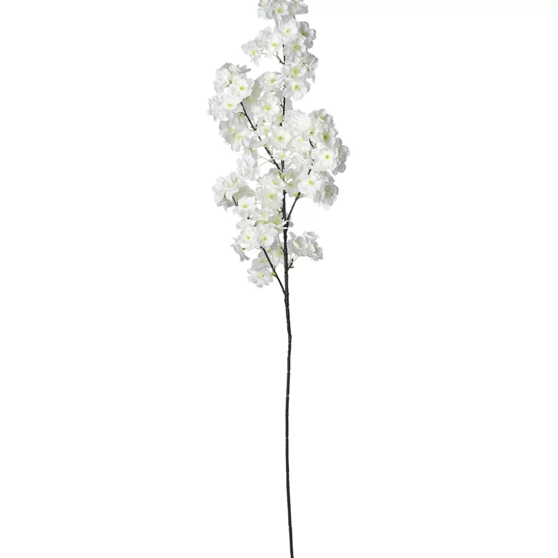 Ramas Y Ramitas>DecoWoerner Rama Decorativa Con Flores De Cerezo Blanca, 105 Cm blanco