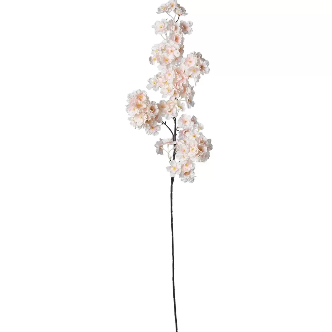 Ramas Y Ramitas>DecoWoerner Rama Decorativa Con Flores De Cerezo , 105 Cm rosa