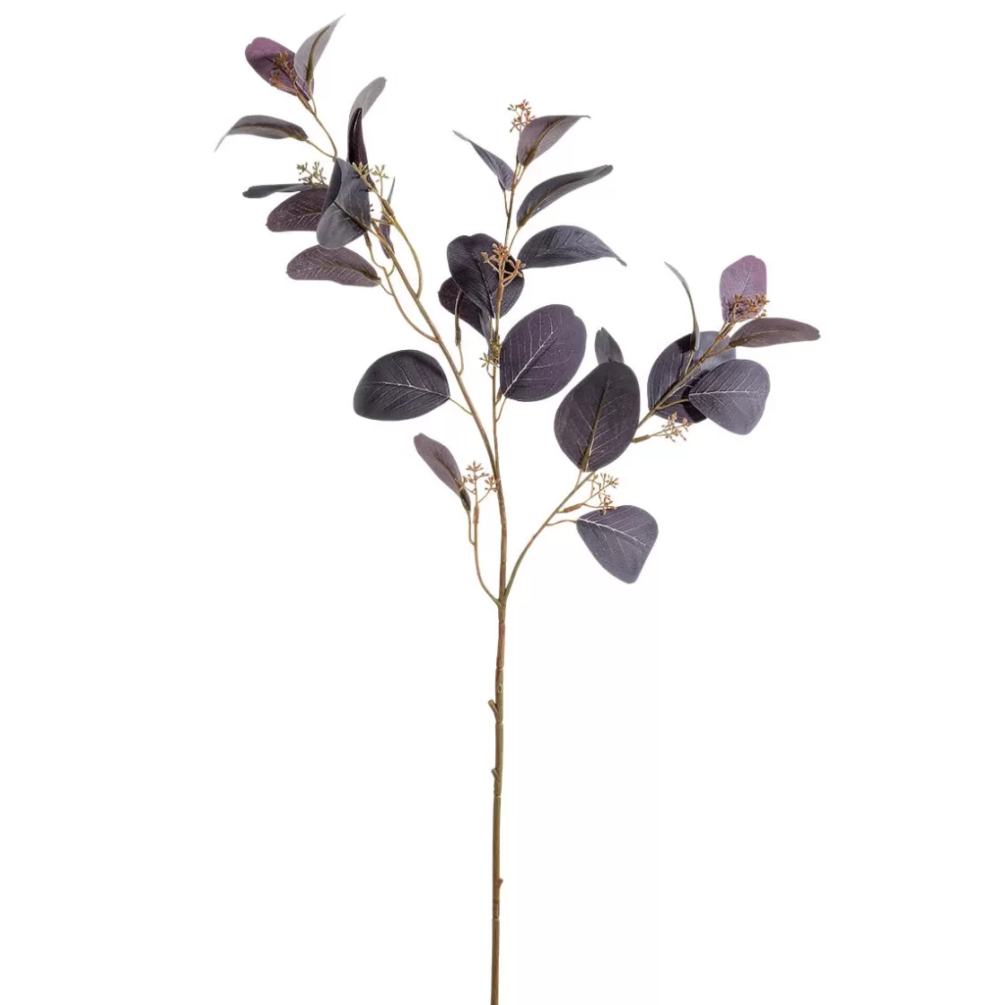 Ramas Y Ramitas>DecoWoerner Rama Decorativa De Eucalipto, 70 Cm De Largo violeta