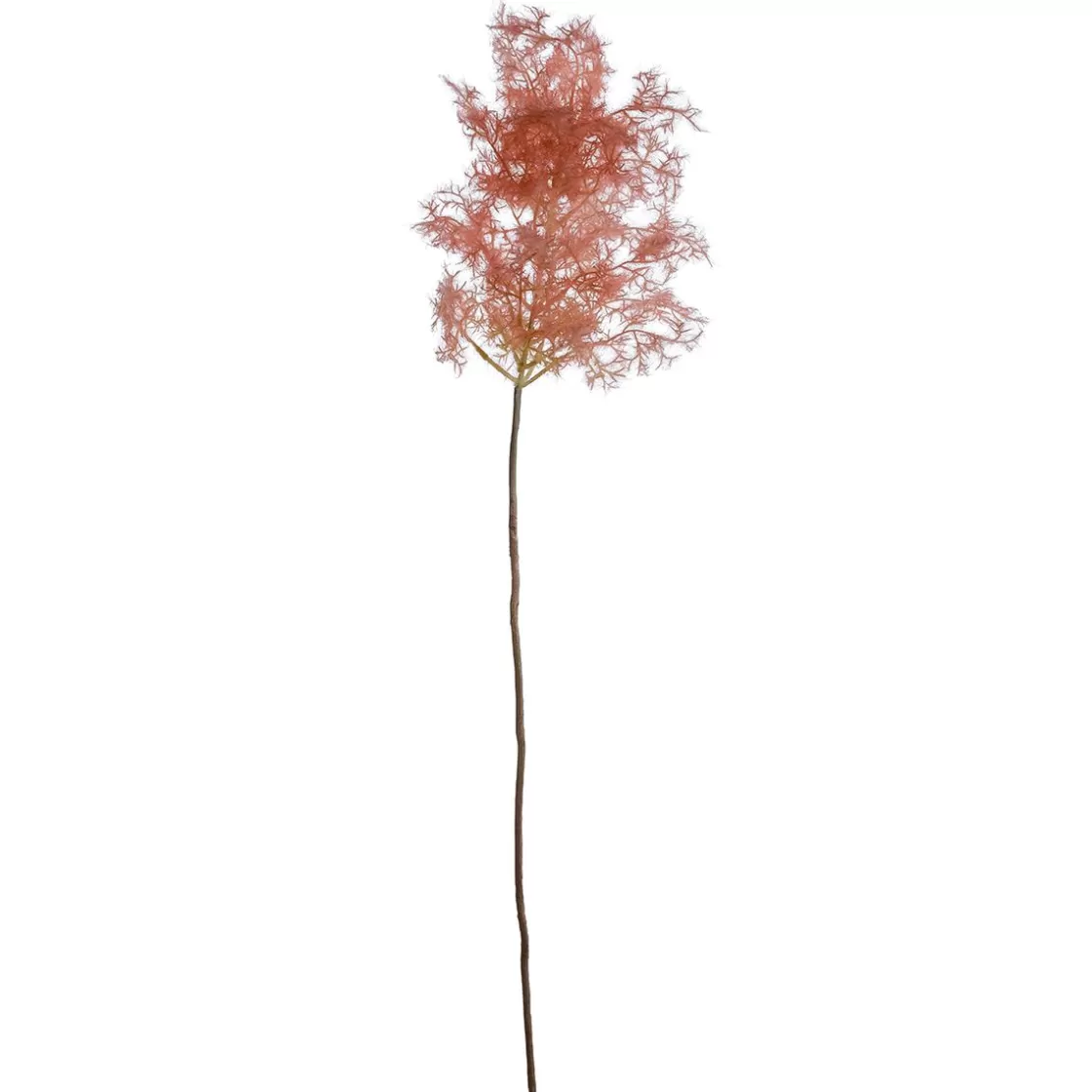 Ramas Y Ramitas | Hierba Decorativa>DecoWoerner Rama Decorativa Flor De Junco, 90 Cm rosa