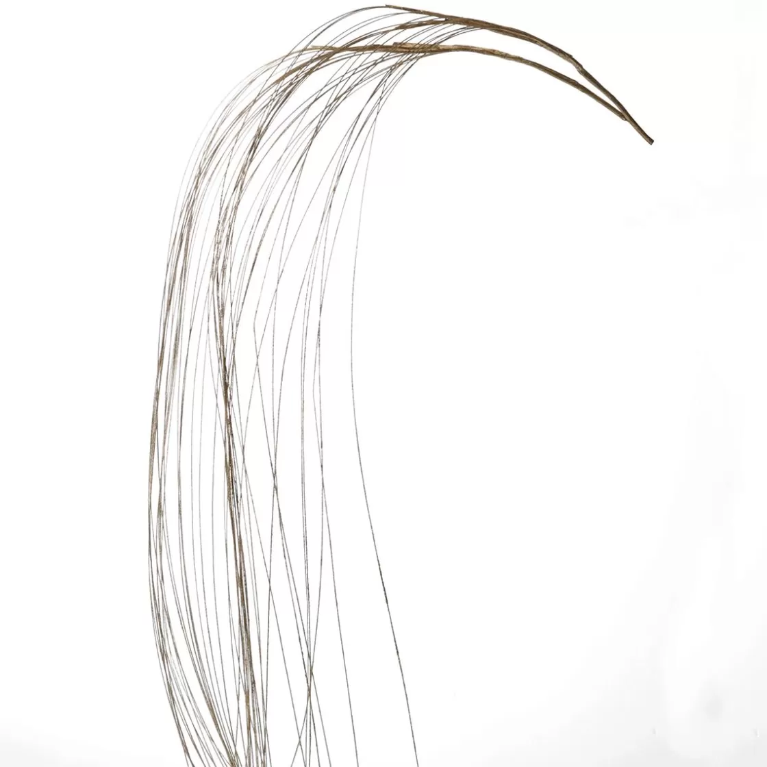 Ramas Y Ramitas>DecoWoerner Rama Decorativa Hierba Dorada 100 Cm De Largo, 2 Piezas oro