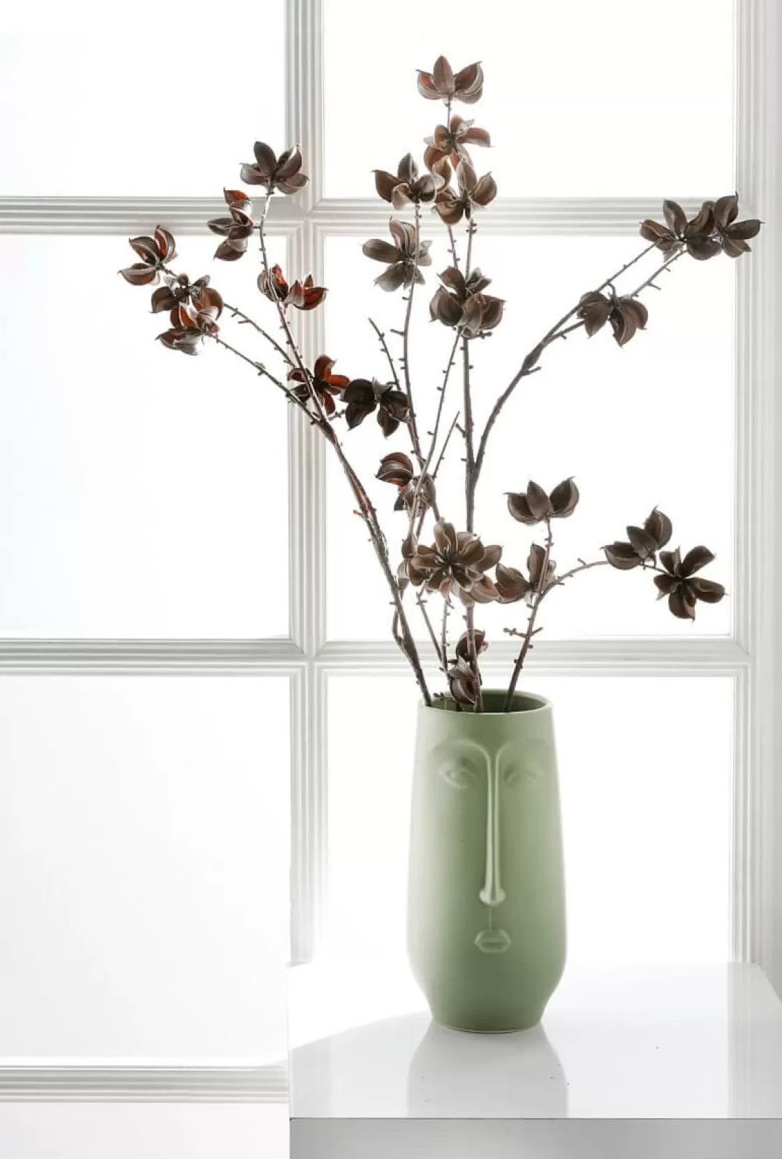 Ramas Y Ramitas>DecoWoerner Rama Decorativa Infrutescencia Del Algodón 110 Cm marrón