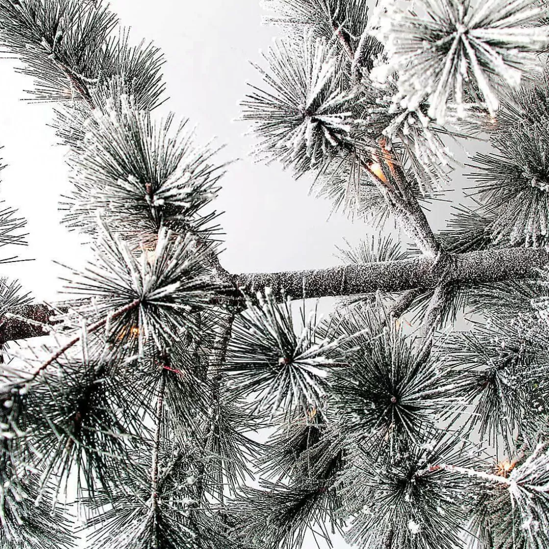 Decoración De Invierno | Árboles Artificiales>DecoWoerner Árbol De Navidad Artificial Colgante Pino Con Agujas Escarchadas Y LED 300 Cm blanco