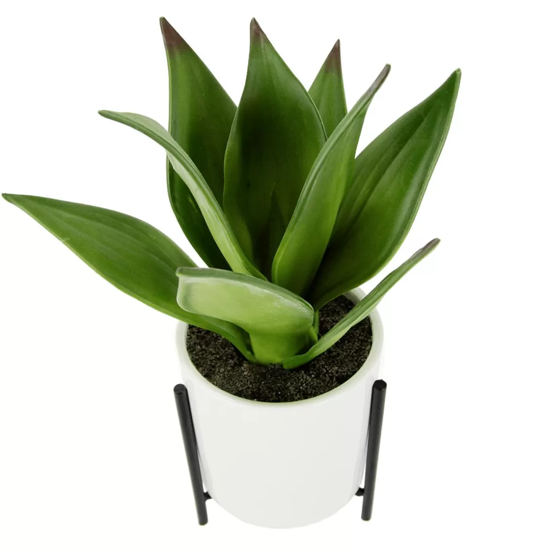 Plantas De Interior>DecoWoerner Suculenta Artificial En Maceta Blanca 27 Cm verde