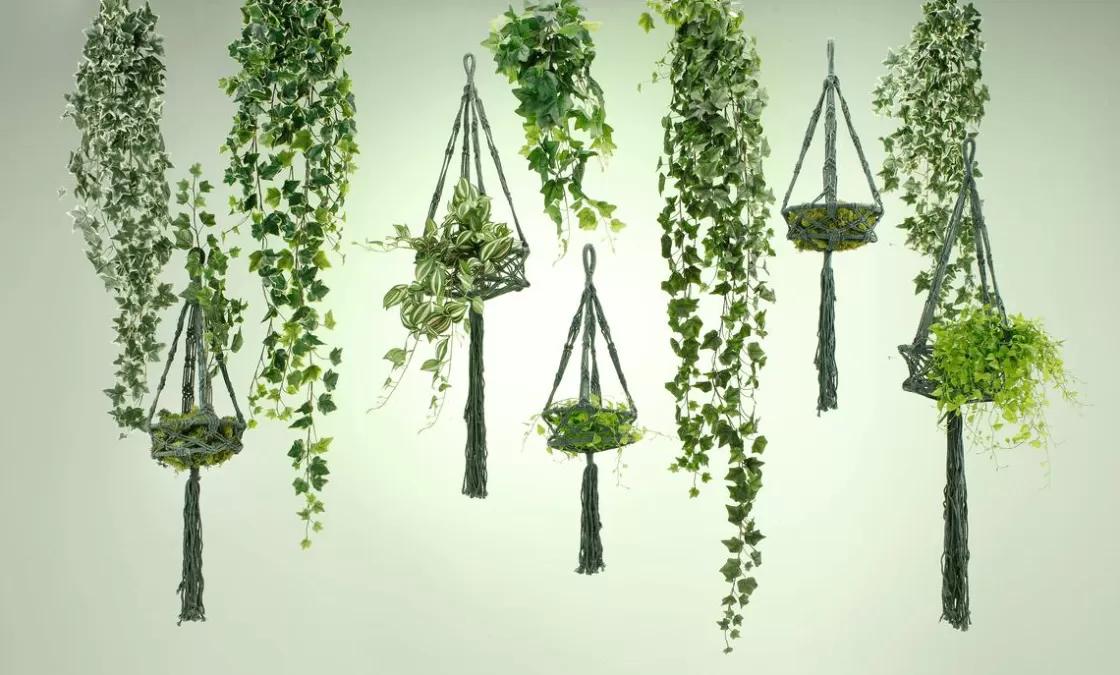 Decoración De Primavera | Plantas Verdes>DecoWoerner Tradecantia Colgante En Maceta De 65 Cm verde