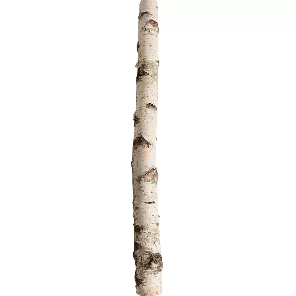 Decoración Natural>DecoWoerner Tronco De Abedul 100 Cm Aprox. 6-10 Cm Ø Beige