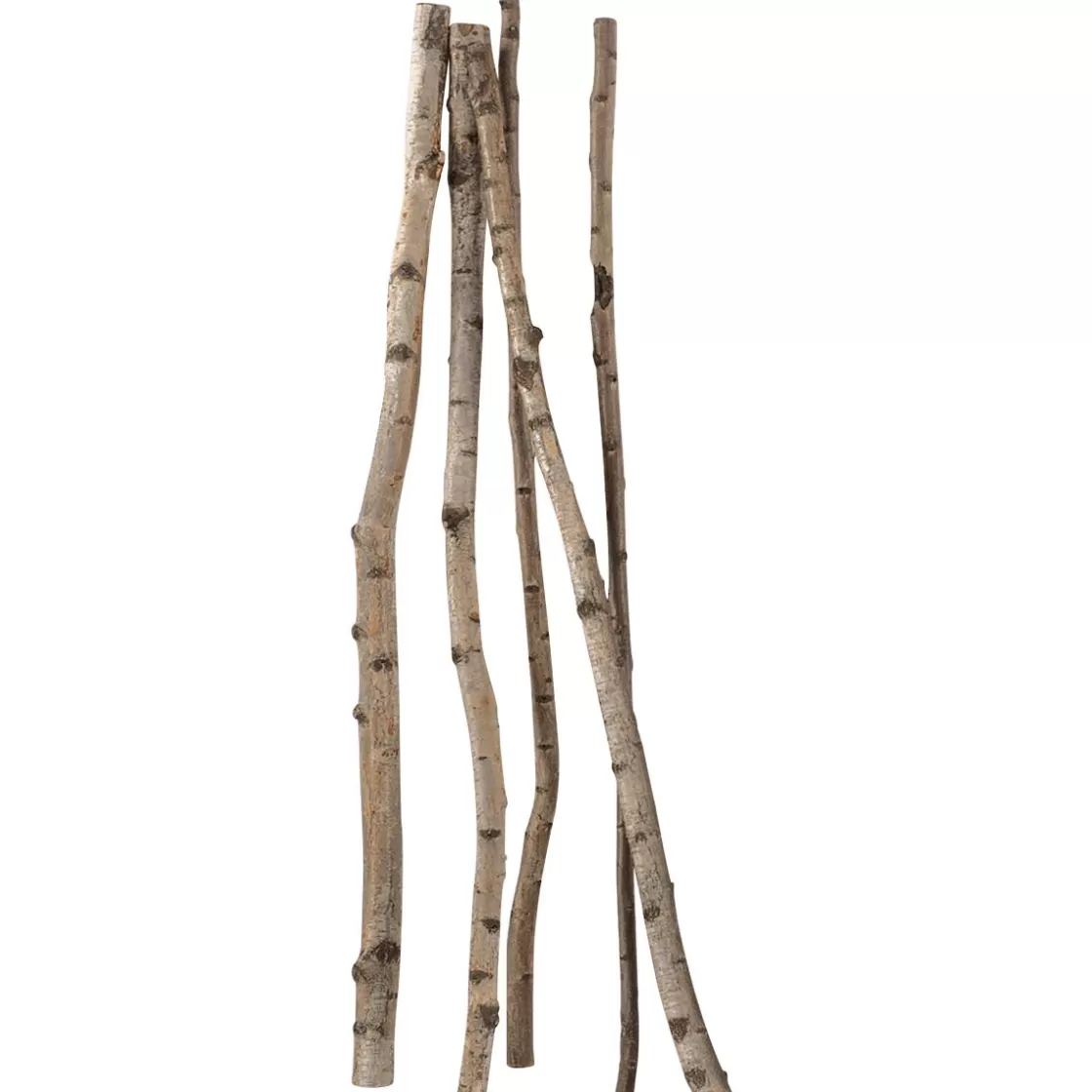 Decoración Natural | Decoración Temática>DecoWoerner Troncos De Abedul Decorativos, 170 Cm, 5 Piezas Beige
