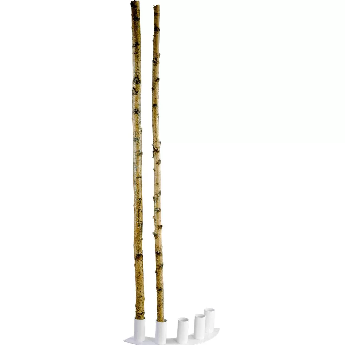 Decoración Natural | Decoración Temática>DecoWoerner Troncos De Abedul Decorativos, 170 Cm, 5 Piezas Beige
