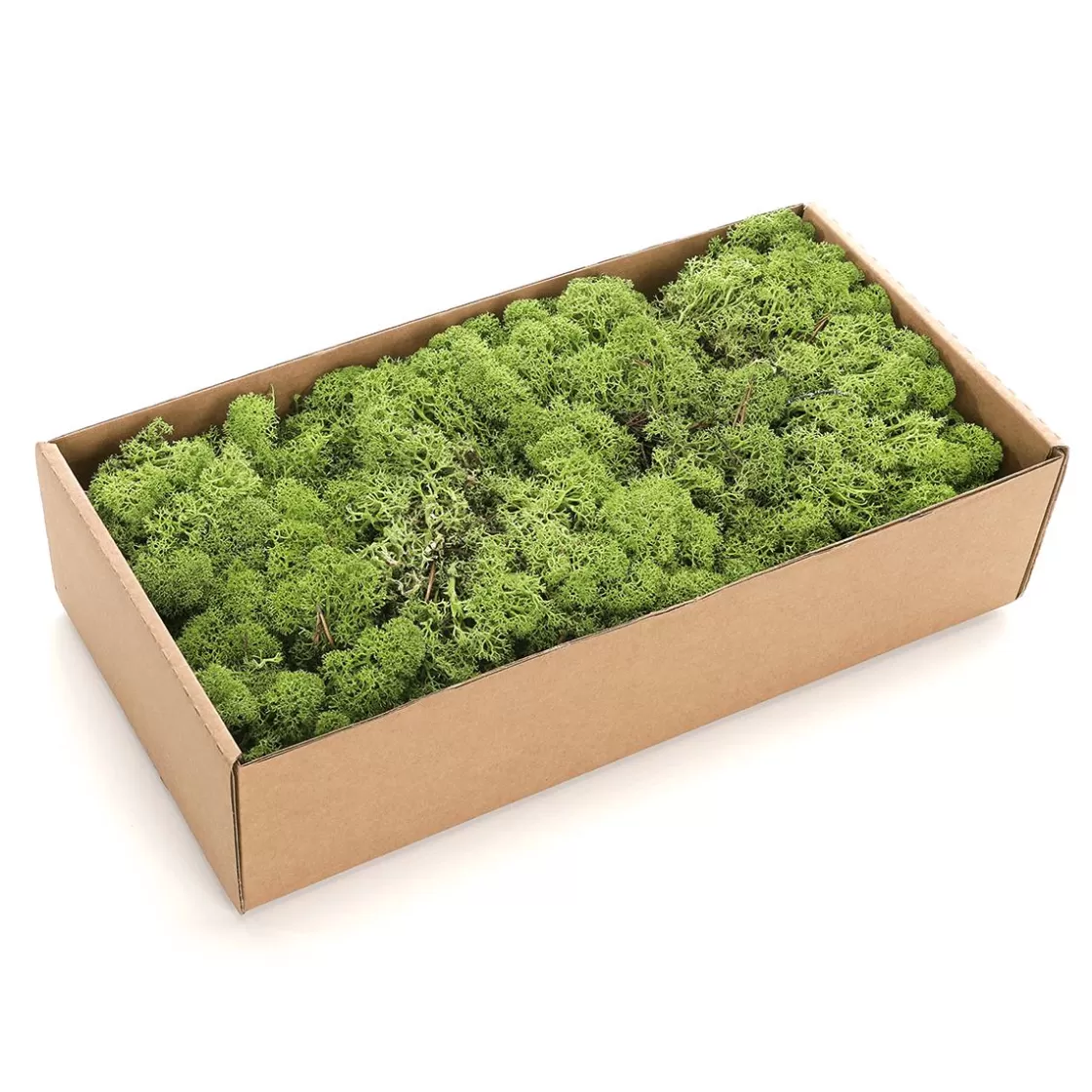 Decoración Natural | Césped Artificial>DecoWoerner Verdadero Musgo Natural 500 G verde