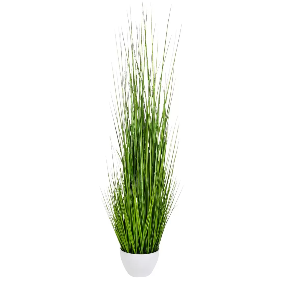 Plantas De Interior | Hierba Decorativa>DecoWoerner XXL Deco Tiger Grass En Maceta Blanca 150 Cm verde